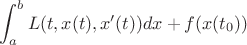 $$\int_a^b L(t,x(t),x'(t))dx + f(x(t_0))$$
