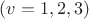 $(v=1,2,3)$